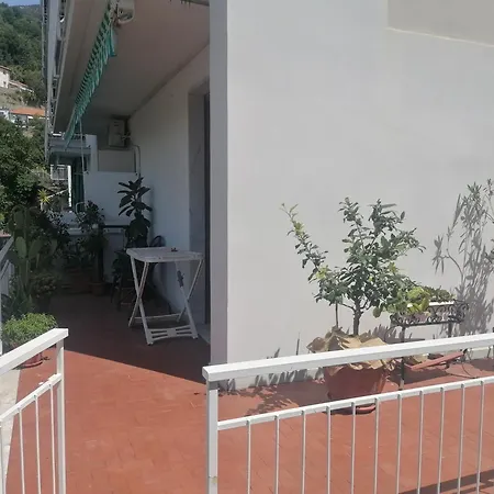Con Vista Panoramica *